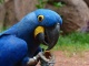 Papouščí zoologická zahrada