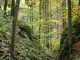 Naučná stezka Beškovský les