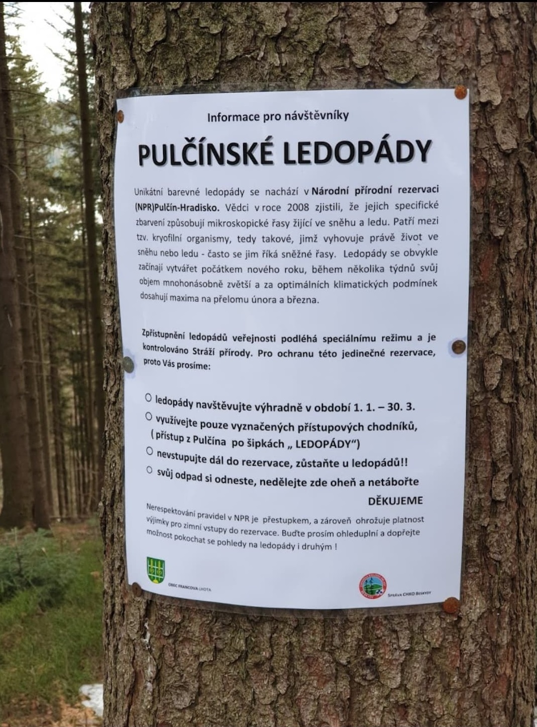 Pulčinské ledopády