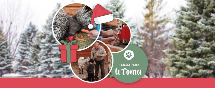 Vánoční krmení zvířátek ve Farmaparku u Toma