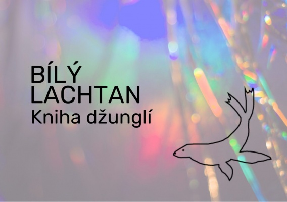 Kniha džunglí - Bílý lachtan