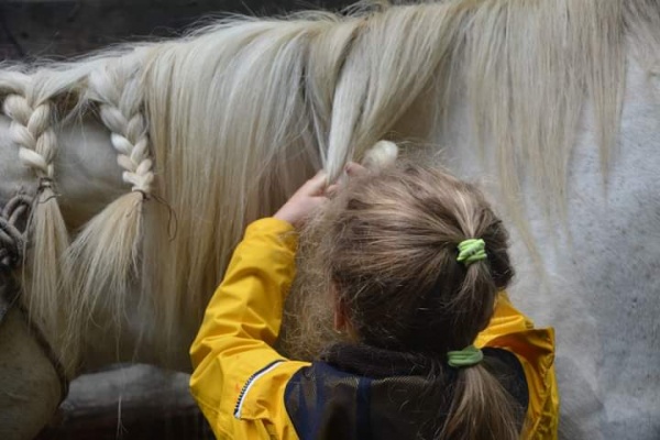 Kroužek Nekonfliktního výcviku koní pro děti