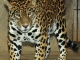 ZOO Olomouc