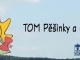 Turistický oddíl TOM Pěšinky a Ostříži