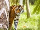 Zoo a botanická zahrada Plzeň
