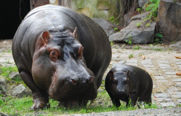 Zoo Ostrava