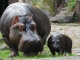 Zoo Ostrava