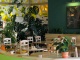 Rebio- restaurace zdravého životního stylu 