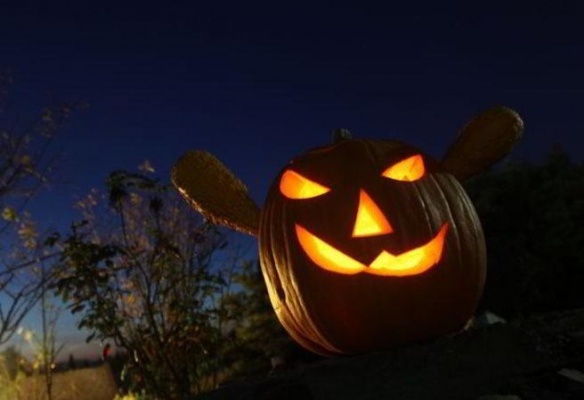 Halloween v Botanické zahradě v Troji