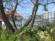 Botanická zahrada Ostrava