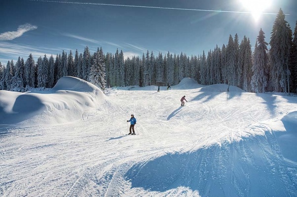 Ski areál Potůčky