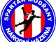 TJ Spartak Modřan - oddíl národní házené
