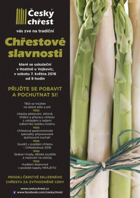 Slavnosti českého chřestu v Hostíně