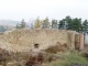 Zřícenina hradu Cvilín (Lobenštejn nebo Šelenburk)