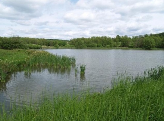 Novostrašecká naučná stezka
