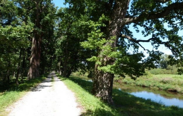 Cyklistická naučná stezka Okolo Třeboně