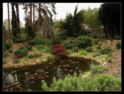 Naučná stezka Arboretum Sofronka