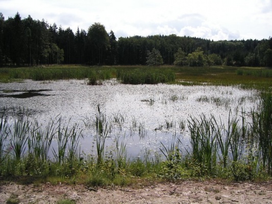 Naučná stezka Kokotské rybníky