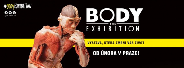Body The Exhibition