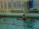 Krokodýlek - Kurzy plavání pro děti