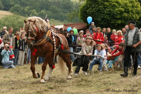 Slavnosti koní, historie a řemesel na Kuksu 