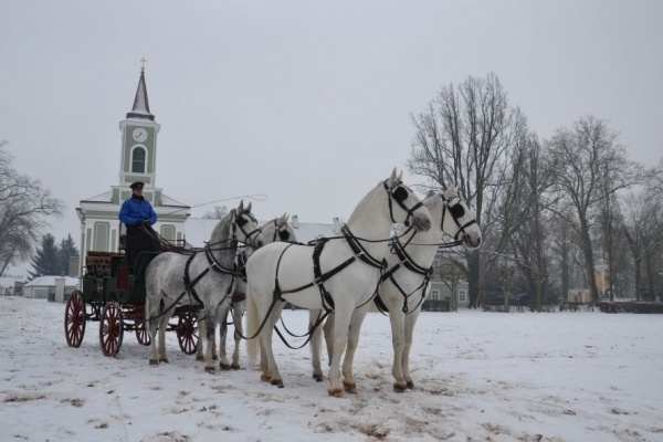 V pololetí koně letí v Kladrubech nad Labem
