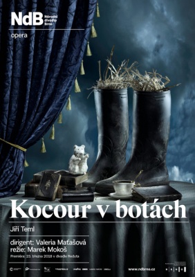 Kocour v botách - opera (pro děti 4 - 9 let) 