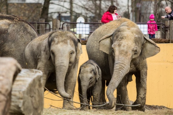 Zdarma do ZOO Ostrava