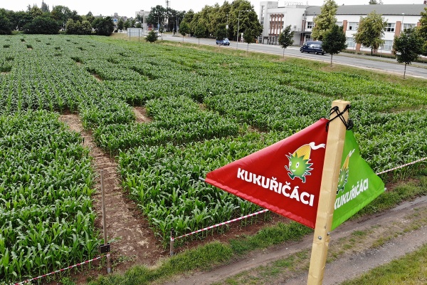 Kukuřičné bludiště Valtice