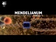 Mendelianum - atraktivní svět genetiky