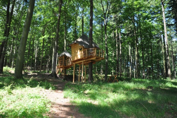 Tree House Sojčí hnízdo