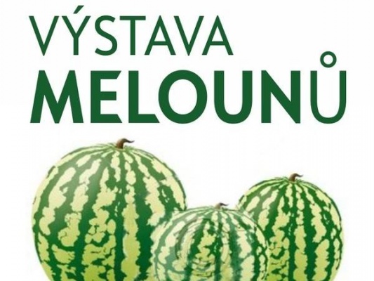 Výstava melounů