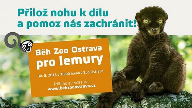 Běh Zoo Ostrava