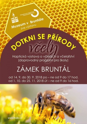 Dotkni se přírody - Včely