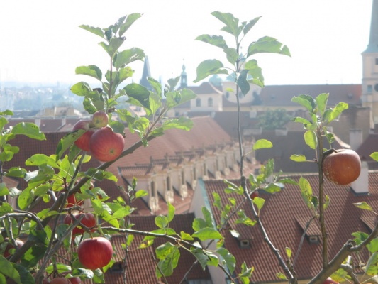 Víkend komentovaných prohlídek - netradiční prohlídka zahrad pod Pražským hradem