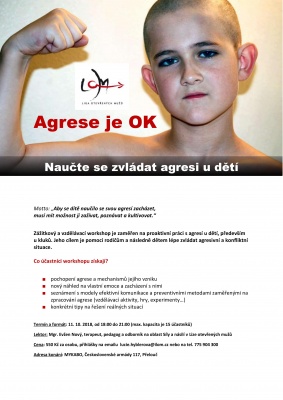 Agrese je OK! Naučte se zvládat agresi u dětí!