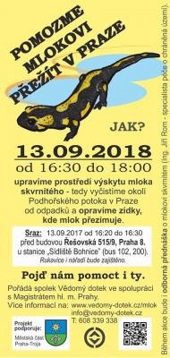Pomozme mlokovi přežít v Praze