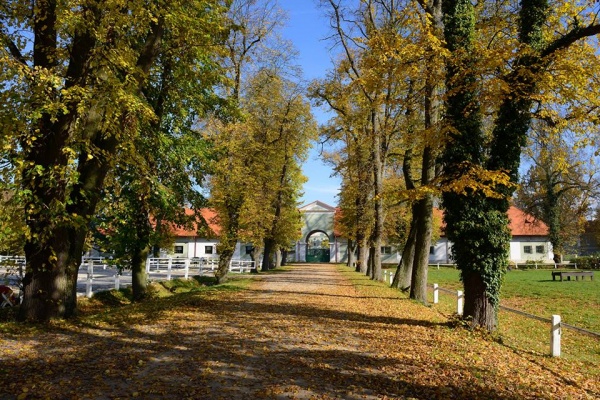 Národní hřebčín Kladruby nad Labem s Mošnicí - perla oblasti Pardubicko