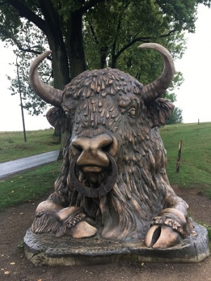 Pohádková alej a dětský lanový park Lužánky