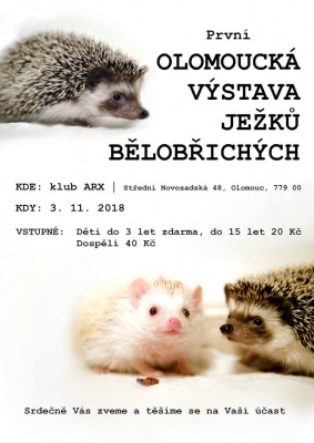 Olomoucká výstava ježků bělobřichých