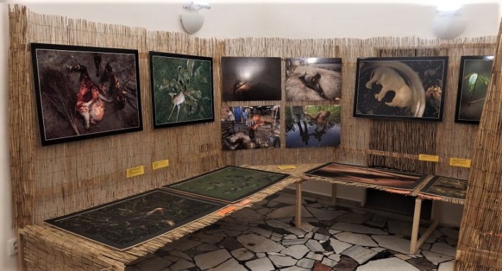 Výstava fotografií National Geographic