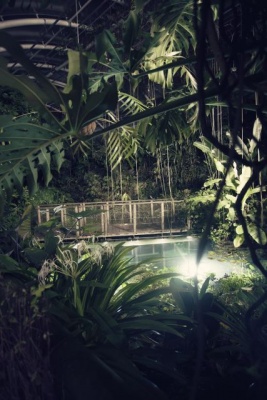 Džungle která nespí - večerní prohlídky skleníku Fata Morgana