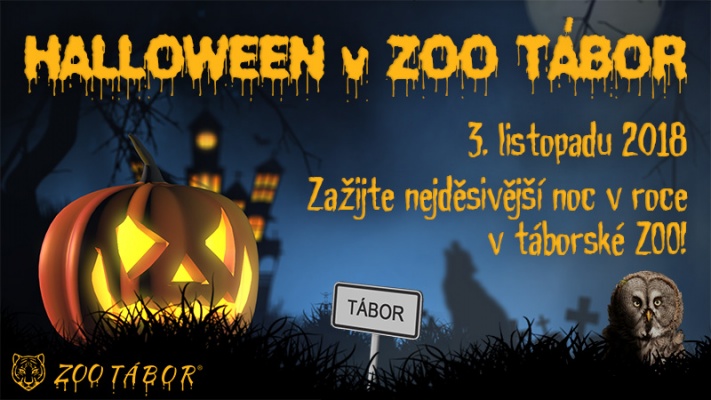 Halloween v ZOO Tábor