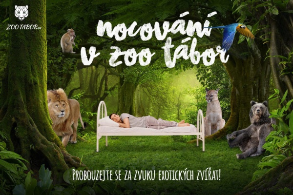 Nocování v ZOO Tábor