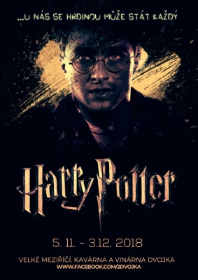 Kouzelný svět Harryho Pottera 