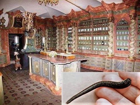 Zážitková prohlídka barokní lékárny s pijavkami