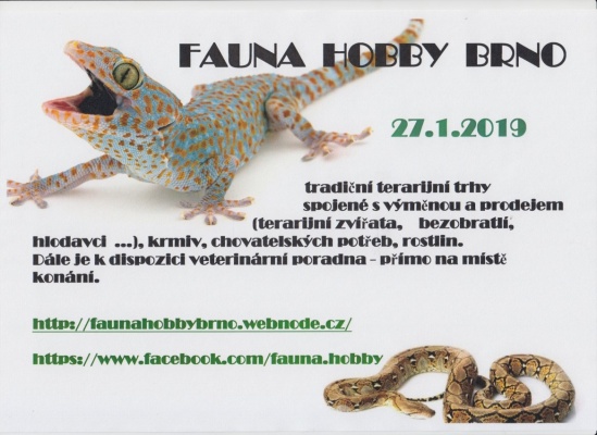 Fauna hobby Brno
