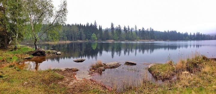 Naučná stezka Velký Pařezitý rybník