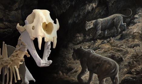 Jeskynní LEV - výstava jeskynní paleontologie
