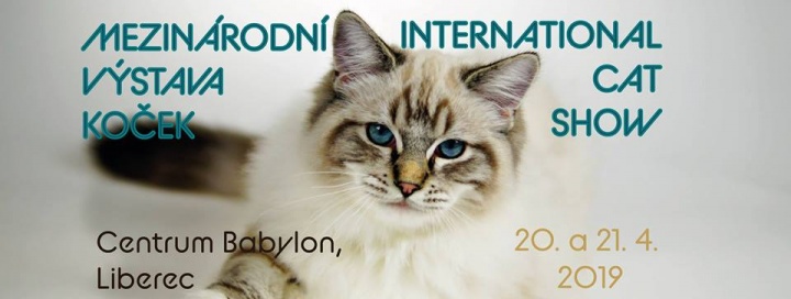 Mezinárodní výstava koček Liberec